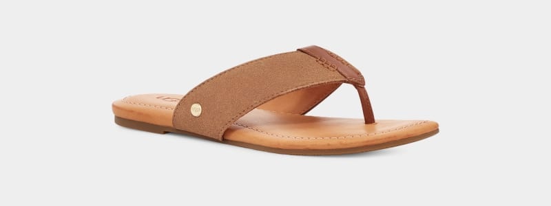 Brown Ugg Carey Flip Suede Women's Slides | South Africa-8239465