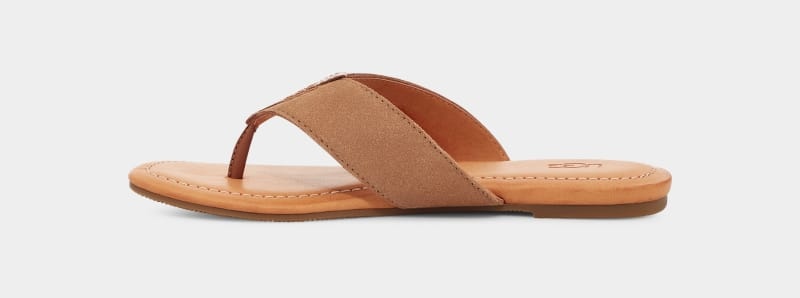 Brown Ugg Carey Flip Suede Women's Slides | South Africa-8239465