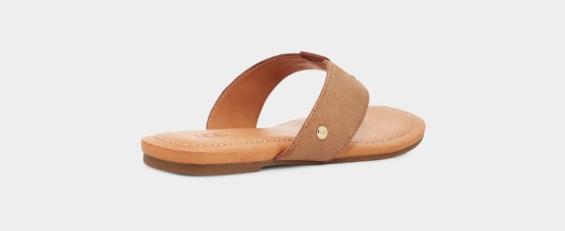 Brown Ugg Carey Flip Suede Women's Slides | South Africa-8239465