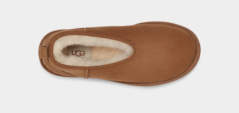 Brown Ugg Classic Micro Mini Women's Boots | South Africa-6598032