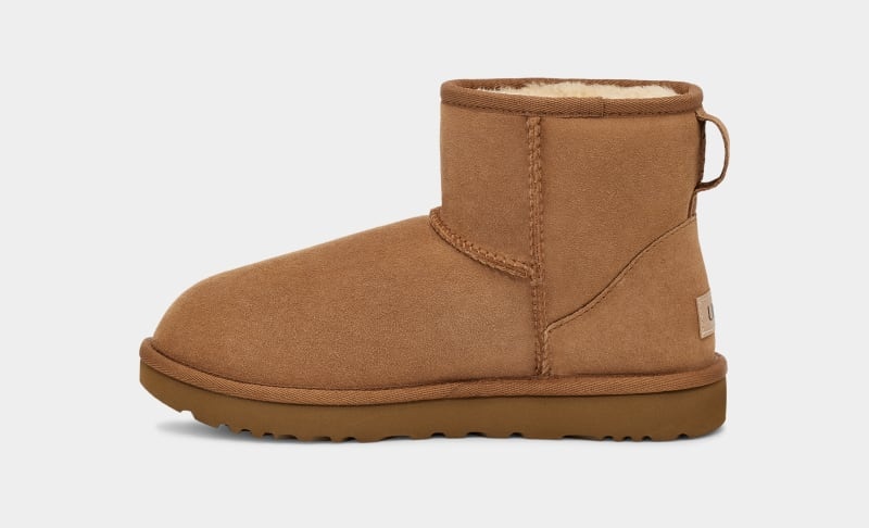 Brown Ugg Classic Mini Ii Women's Boots | South Africa-3075621