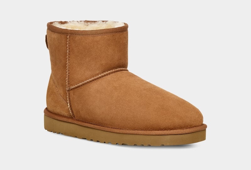 Brown Ugg Classic Mini Men's Boots | South Africa-6380194