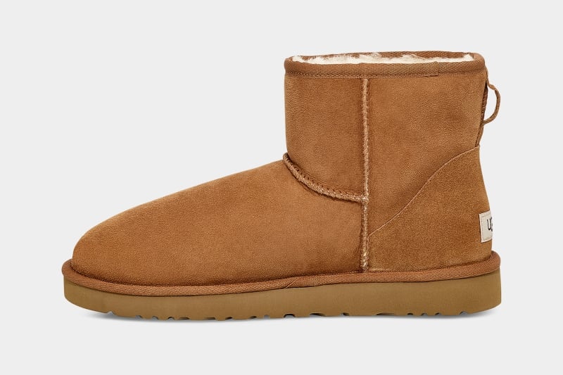 Brown Ugg Classic Mini Men's Boots | South Africa-6380194