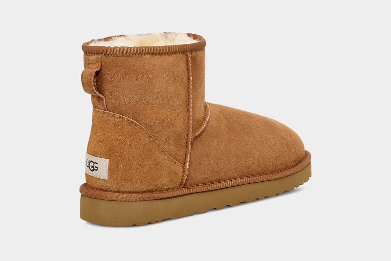 Brown Ugg Classic Mini Men's Boots | South Africa-6380194