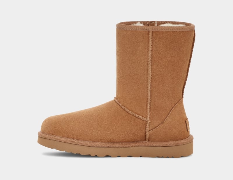 Brown Ugg Classic Short Bailey Zip Women's Boots | South Africa-6752419