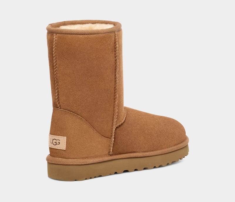 Brown Ugg Classic Short Men's Boots | South Africa-9205641