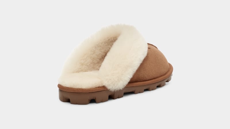 Brown Ugg Coquette Women's Slippers | South Africa-8169532