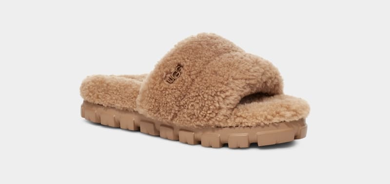 Brown Ugg Cozetta Curly Women's Slippers | South Africa-2369075