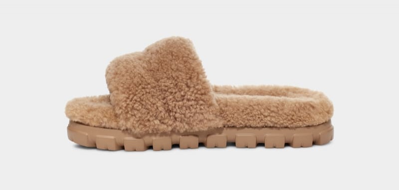 Brown Ugg Cozetta Curly Women's Slippers | South Africa-2369075