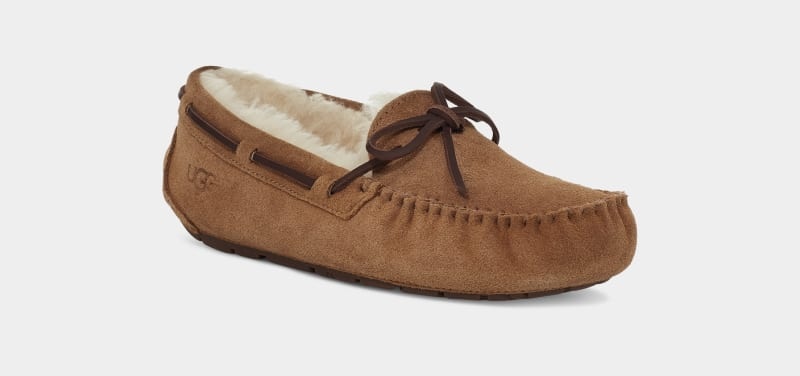 Brown Ugg Dakota Women's Moccasins | South Africa-1678590