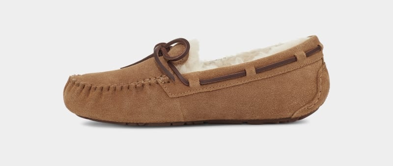 Brown Ugg Dakota Women's Moccasins | South Africa-1678590