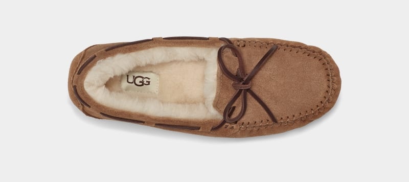 Brown Ugg Dakota Women's Moccasins | South Africa-1678590