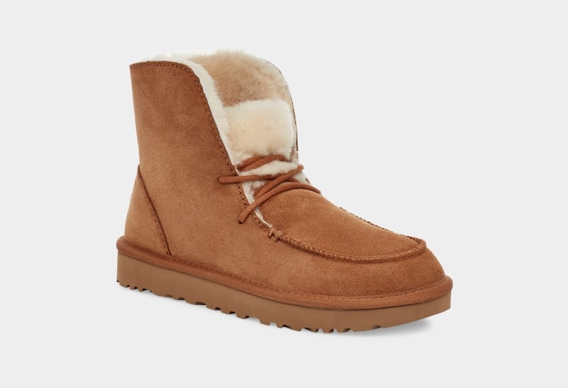 Brown Ugg Diara Women's Boots | South Africa-3109768