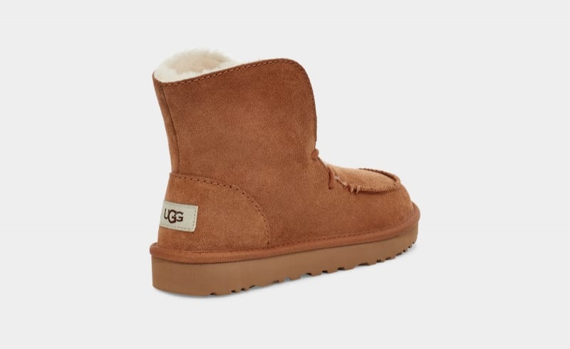 Brown Ugg Diara Women's Boots | South Africa-3109768