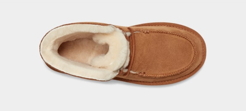 Brown Ugg Diara Women's Boots | South Africa-3109768