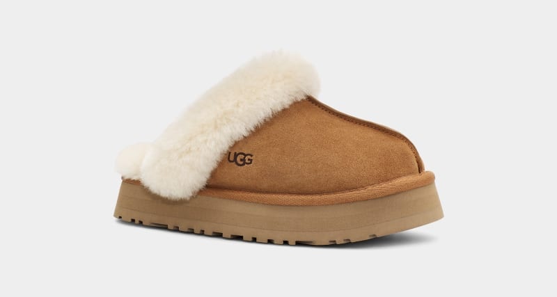 Brown Ugg Disquette Women's Slippers | South Africa-2914308