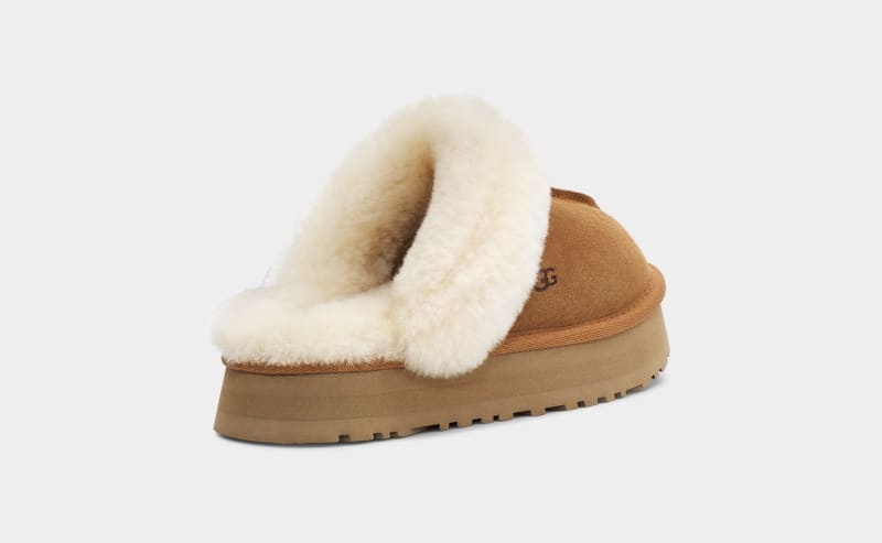 Brown Ugg Disquette Women's Slippers | South Africa-2914308