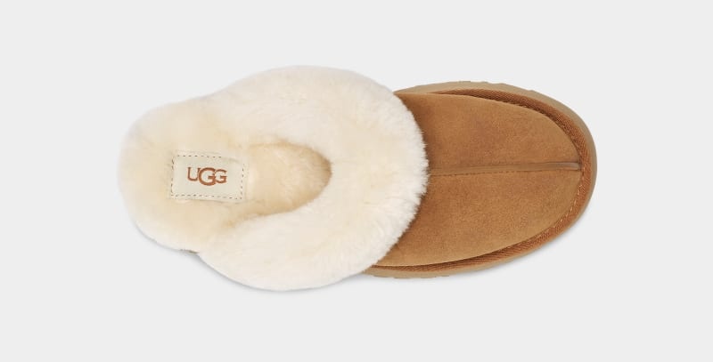 Brown Ugg Disquette Women's Slippers | South Africa-2914308