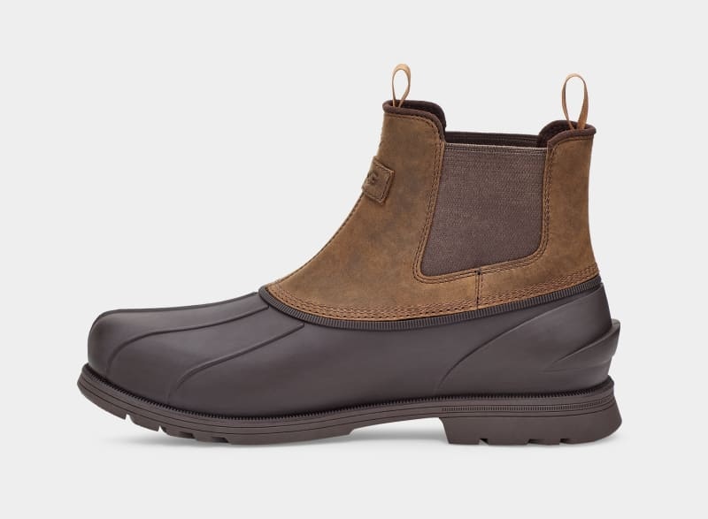 Brown Ugg Gatson Men's Chelsea Boots | South Africa-4625708