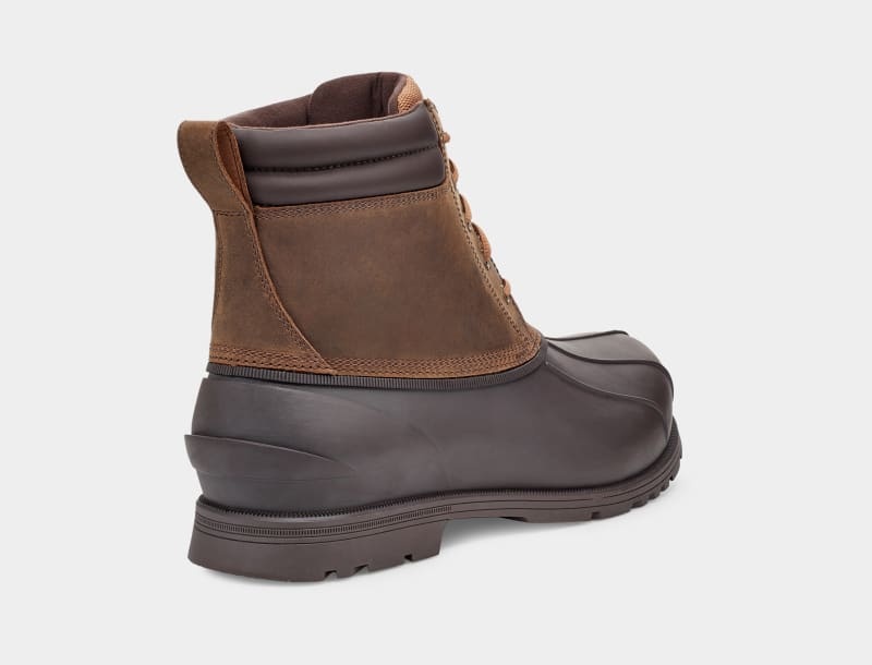 Brown Ugg Gatson Mid Men's Ankle Boots | South Africa-4835721