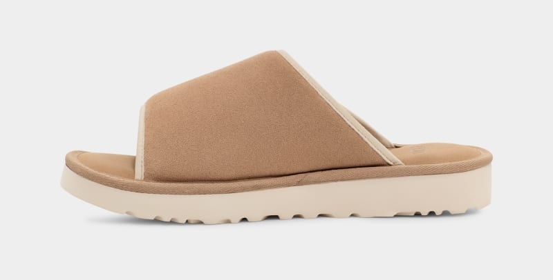 Brown Ugg Goldencoast Men's Slides | South Africa-5328476