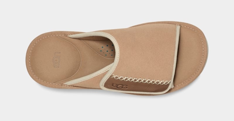 Brown Ugg Goldencoast Men's Slides | South Africa-5328476