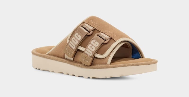 Brown Ugg Goldencoast Strap Men's Slides | South Africa-5360429