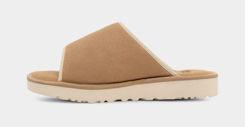 Brown Ugg Goldencoast Strap Men's Slides | South Africa-5360429