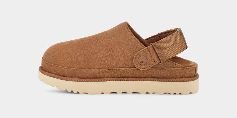 Brown Ugg Goldenstar Women's Clogs | South Africa-3201946