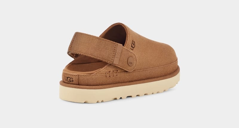 Brown Ugg Goldenstar Women's Clogs | South Africa-3201946