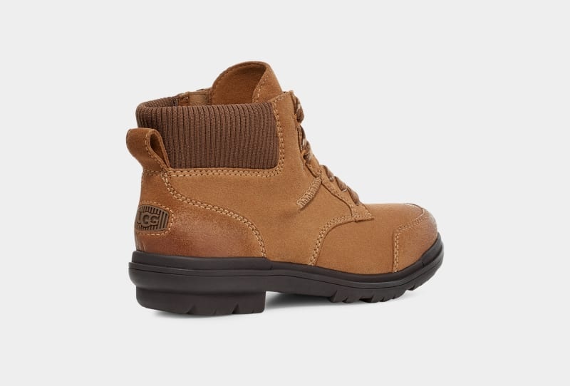 Brown Ugg Hapsburg Women's Ankle Boots | South Africa-6502817