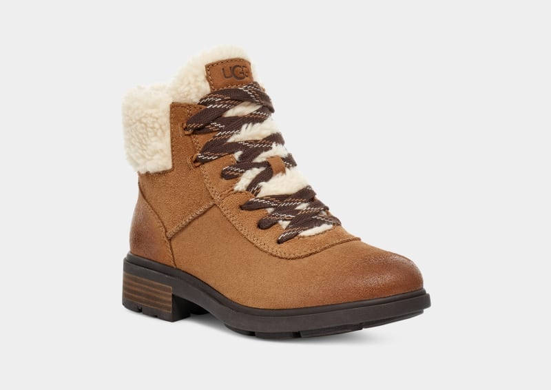 Brown Ugg Harrison Cozy Lace Women's Winter Boots | South Africa-4673052