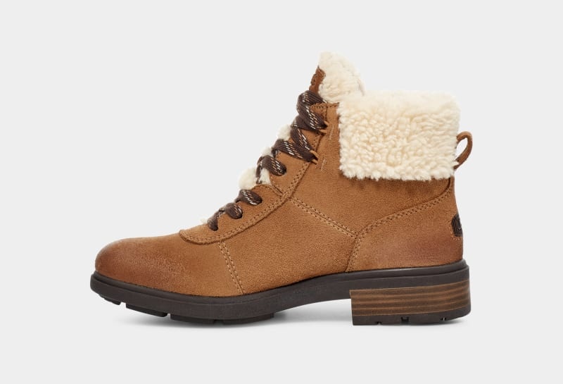 Brown Ugg Harrison Cozy Lace Women's Winter Boots | South Africa-4673052