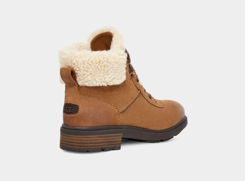 Brown Ugg Harrison Cozy Lace Women's Winter Boots | South Africa-4673052