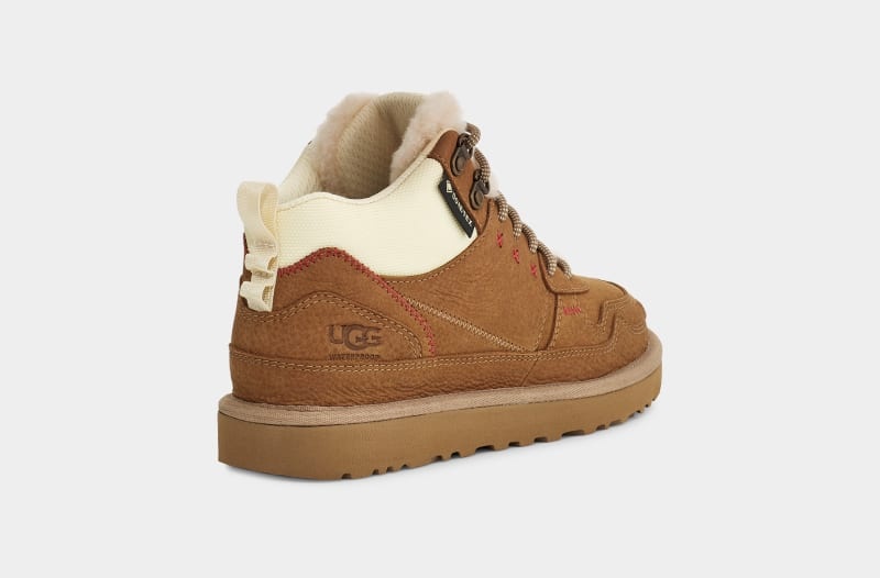 Brown Ugg Highland Hi Goretex Women's Sneakers | South Africa-6850472