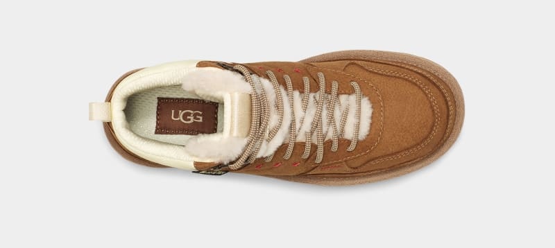 Brown Ugg Highland Hi Goretex Women's Sneakers | South Africa-6850472