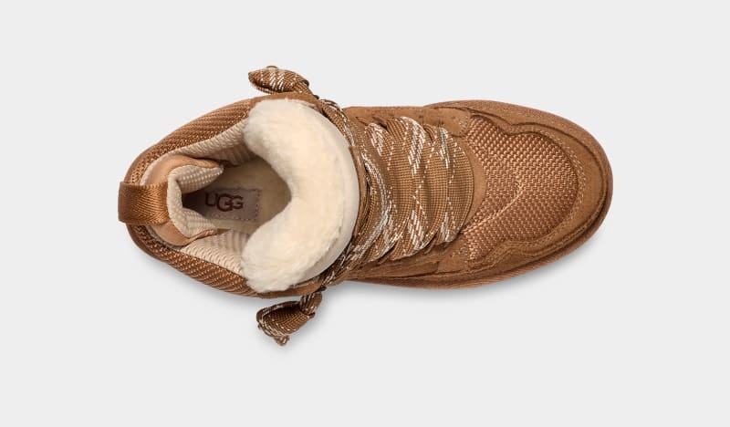 Brown Ugg Highmel Women's Sneakers | South Africa-7156309