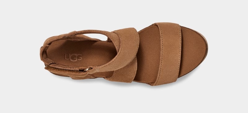 Brown Ugg Ileana Ankle Women's Sandals | South Africa-7108346