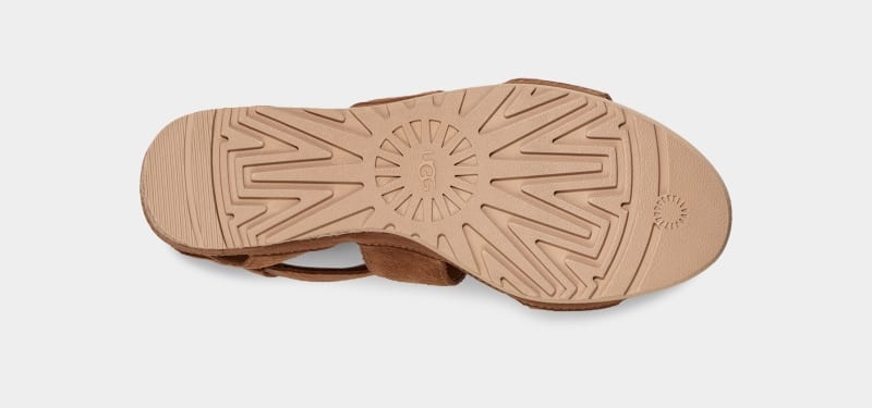 Brown Ugg Ileana Ankle Women's Sandals | South Africa-7108346