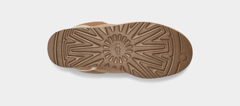 Brown Ugg Lowmel Women's Sneakers | South Africa-5267984