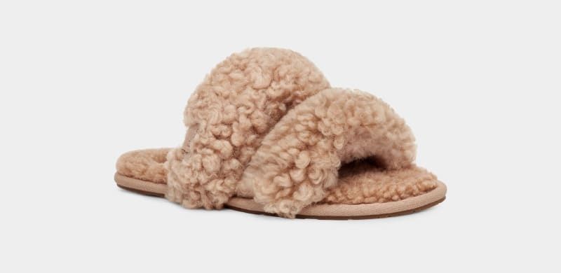 Brown Ugg Maxi Curly Scuffetta Women's Slippers | South Africa-2485691