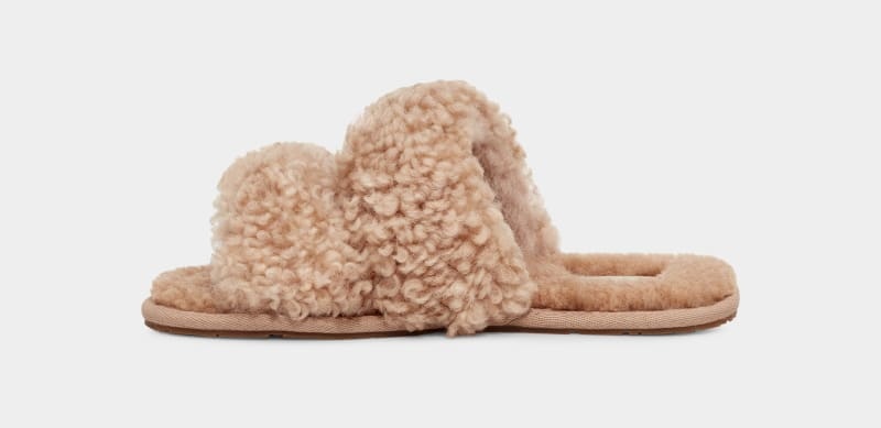 Brown Ugg Maxi Curly Scuffetta Women's Slippers | South Africa-2485691