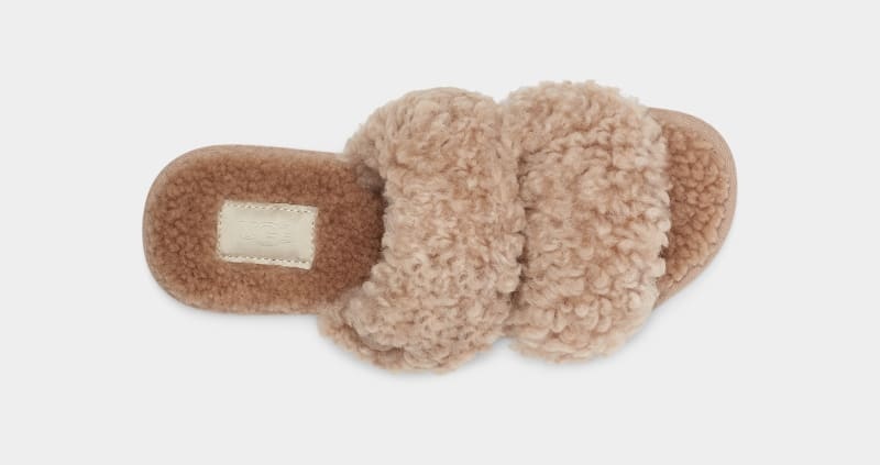 Brown Ugg Maxi Curly Scuffetta Women's Slippers | South Africa-2485691