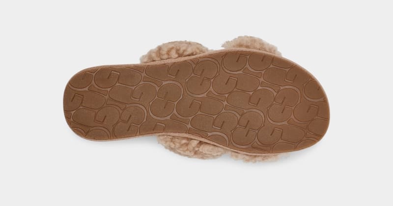 Brown Ugg Maxi Curly Scuffetta Women's Slippers | South Africa-2485691