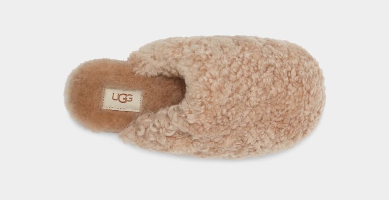 Brown Ugg Maxi Curly Women's Slides | South Africa-3546821