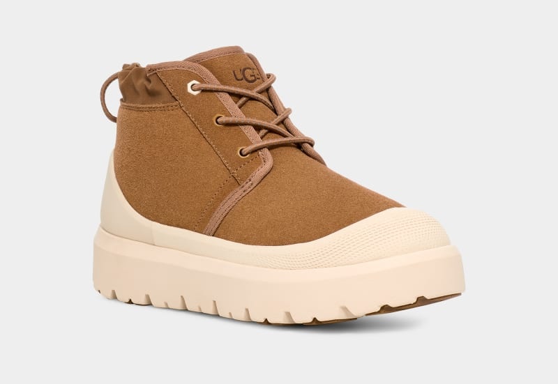 Brown Ugg Neumel Weather Hybrid Men's Boots | South Africa-9284013