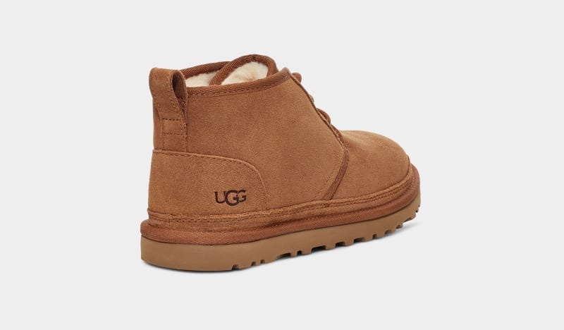 Brown Ugg Neumel Women's Boots | South Africa-7384602