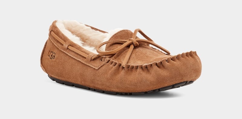 Brown Ugg Olsen Men's Slippers | South Africa-7195463