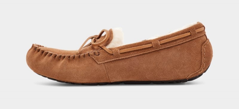 Brown Ugg Olsen Men's Slippers | South Africa-7195463