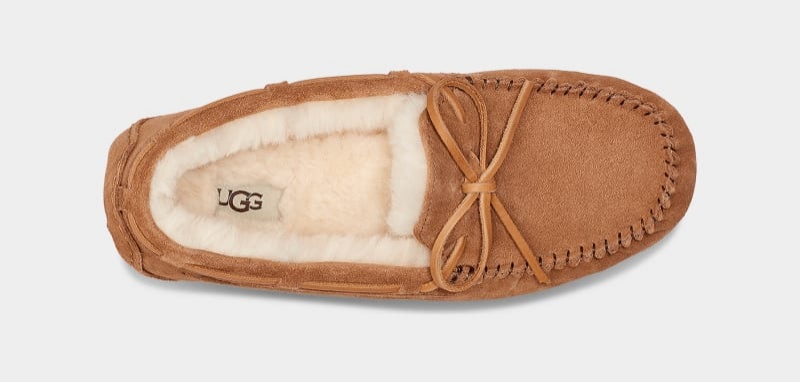 Brown Ugg Olsen Men's Slippers | South Africa-7195463